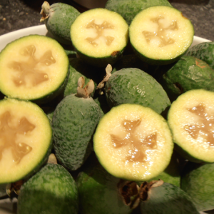 Feijoa unique