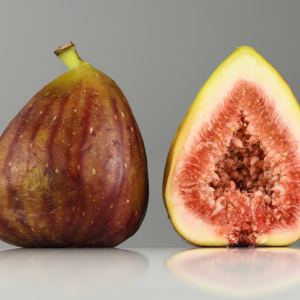 Fig Brunswick