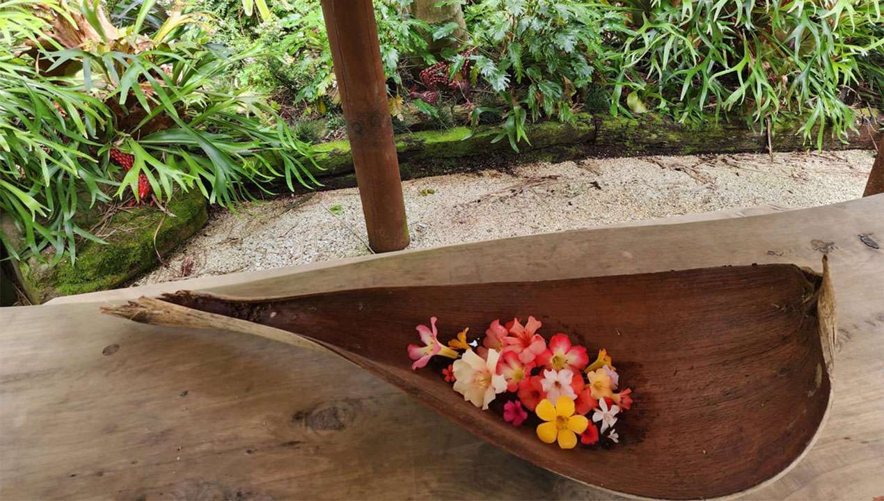 Subtropical Garden